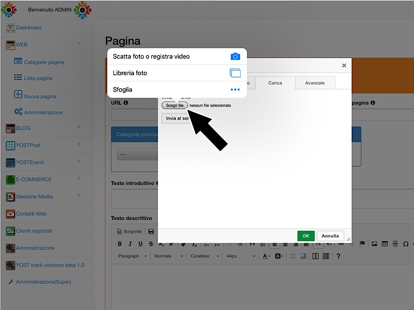 caricare foto da editor