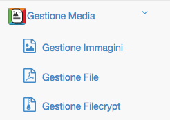 Inserire immagine da gestione media